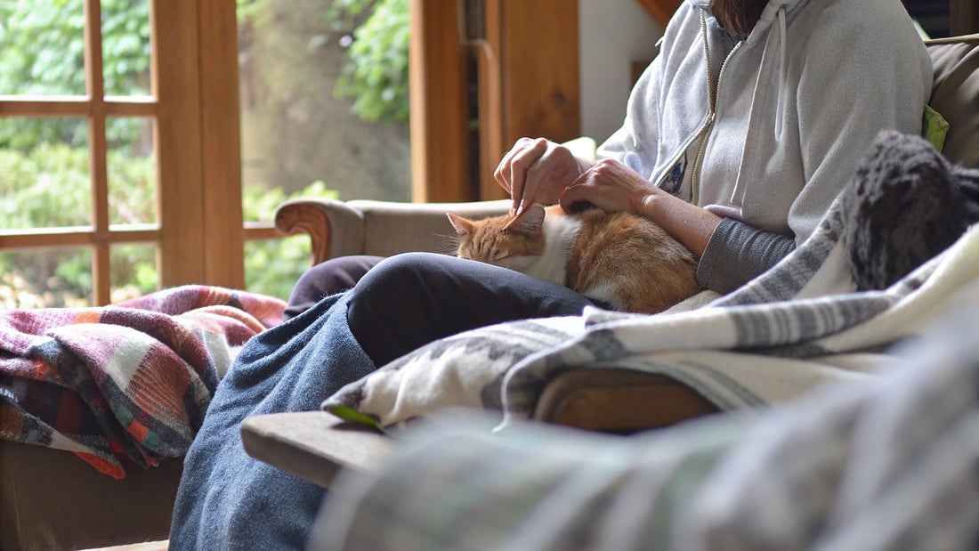 10 Best Hairball Remedies for Cats: Natural Solutions You Need