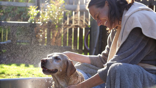 7 Effective Flea Shampoo Solutions for Your Pets