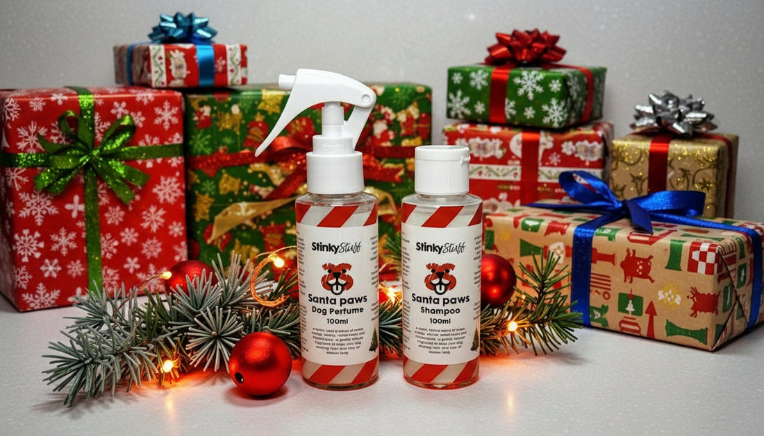Santa Paws Christmas Dog Shampoo & Perfume Gift Set – Festive Grooming with a Purpose
