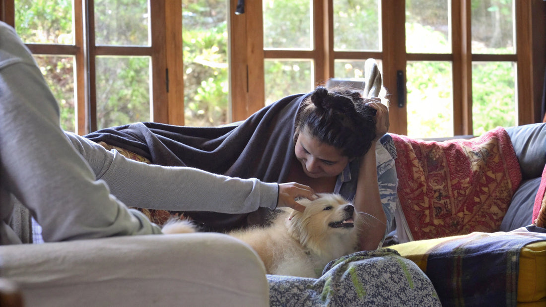 Why Does My Dog Stink? Causes and Solutions Explained