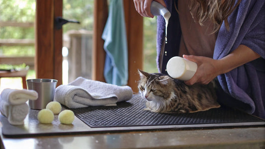 Flea Bath for Cats: Step-by-Step Guide for Pet Owners