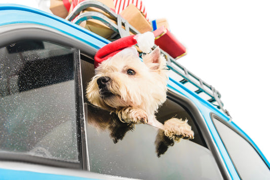 🎄 Holiday Packing Checklist for Pets: Stress-Free Christmas Travel Tips