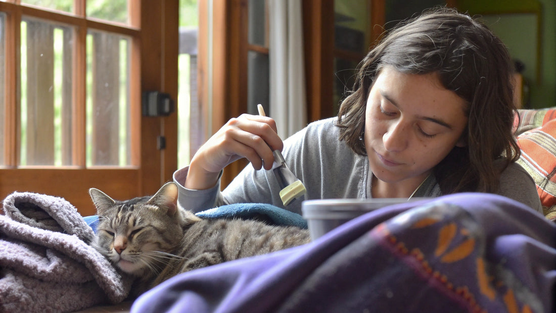 Administer Vet Recommended Hairball Remedies for Cats Safely