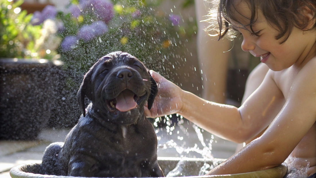 10 Best Puppy Flea Shampoos for Natural Care in 2025