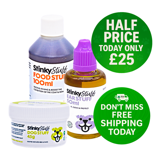 🐶 Say Goodbye to the Scratch!