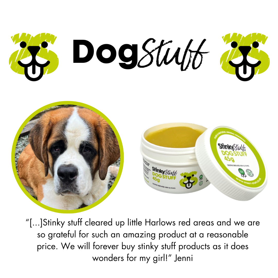 🐶 Say Goodbye to the Scratch! – HUGE SAVING + FREE SHIPPING TODAY