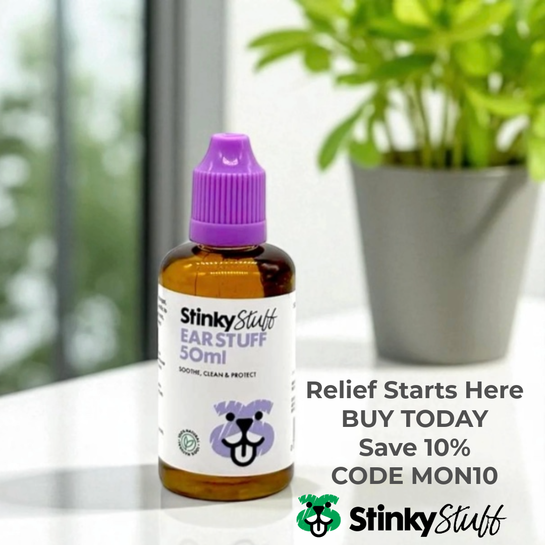 Ear Stuff – Natural Ear Drops for Everyday Ear Comfort