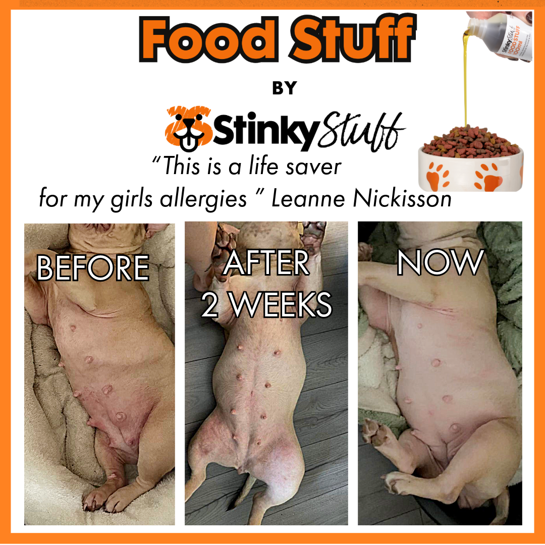 Before and after comparison of a dog with allergies, attributed to 'Food Stuff by Slinky Stuff'.
