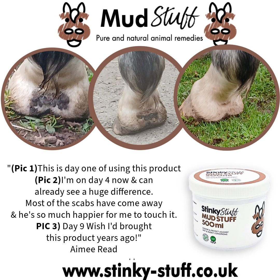 Mud Stuff – Natural Barrier Balm for Horses - Free Shipping